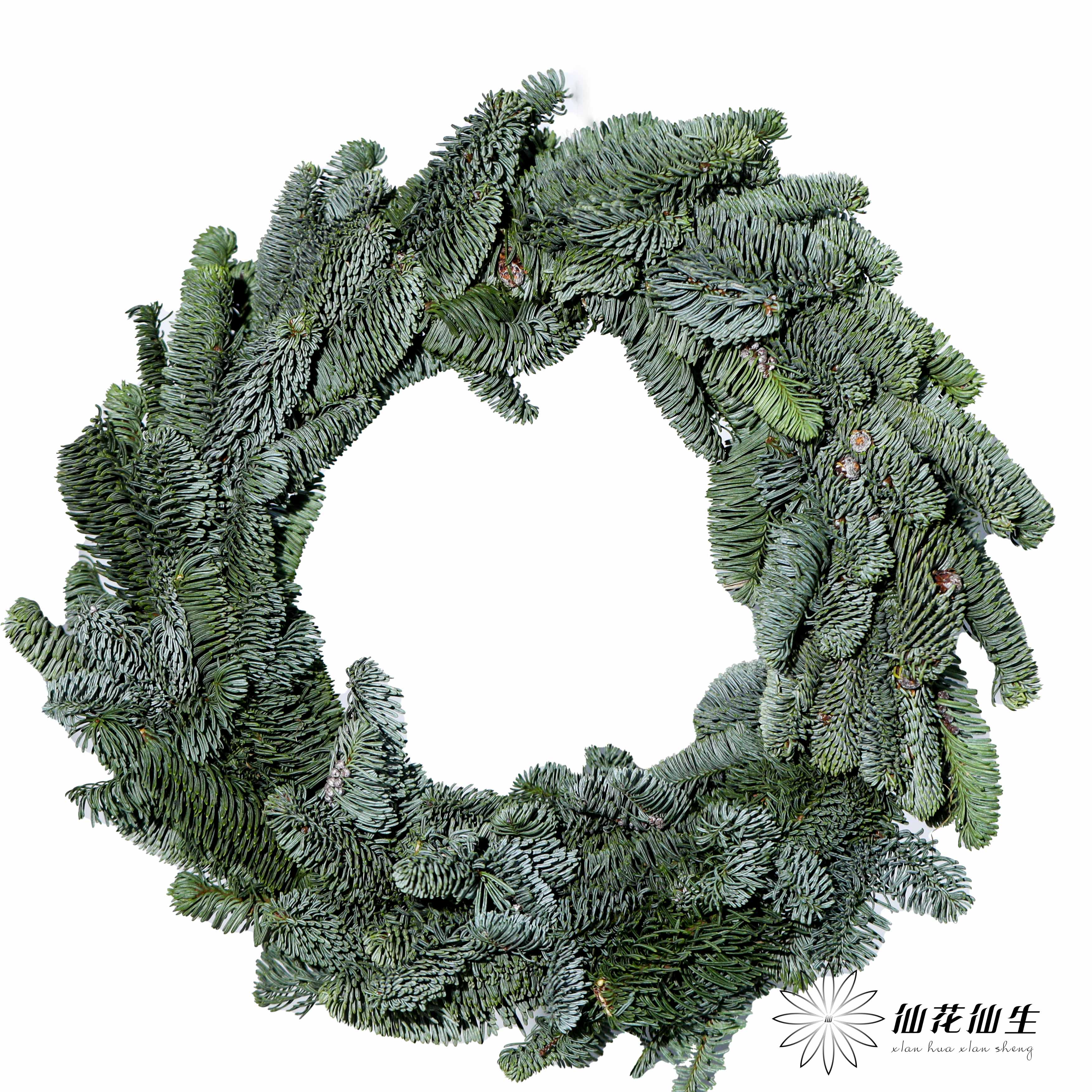 德邦空运包邮 |  诺贝松圣诞花环（尺寸误差5cm左右; 介意慎拍）