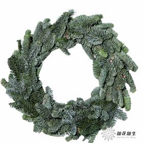 丹麦花材 |  诺贝松圣诞花环（尺寸误差5cm左右; 介意慎拍）