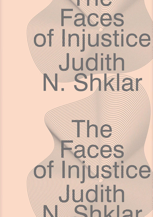 不正义的多重面孔 商品图2