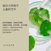 东印度白檀精油五重积雪草清痕精华修护舒缓痘印痘坑抗皱补水分 商品缩略图3