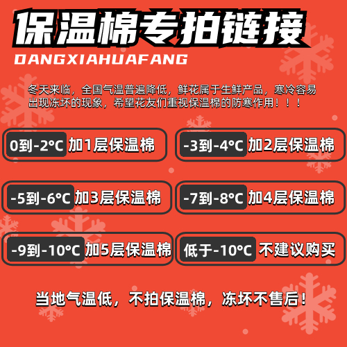 【0℃以下必拍】保温棉1份（详见说明/单买不发货）
