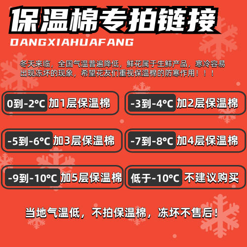【0℃以下必拍】保温棉1份（详见说明/单买不发货） 商品图0