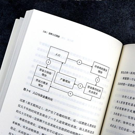 世界人口简史 商品图3