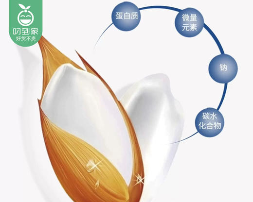 【预售-2月24日配送】【到手2袋】袁蒙牌草原碱地海水稻袁熟香米/1份（2.5kg*2袋） 商品图4