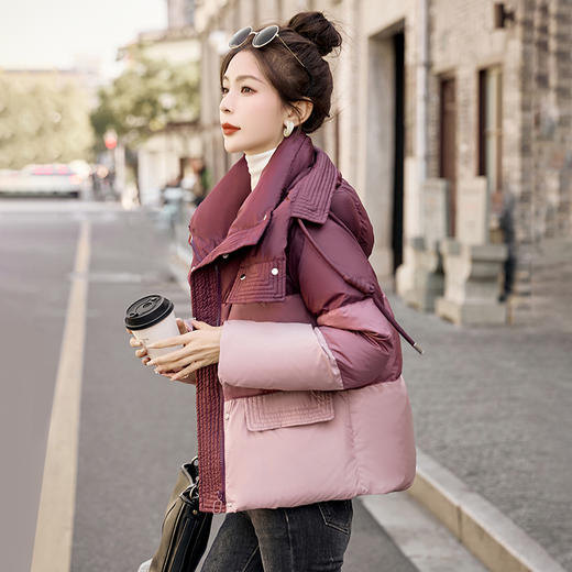 冬季新款，高端时尚潮流大气短款外套白鸭绒羽绒服HR-BBL23030 商品图9