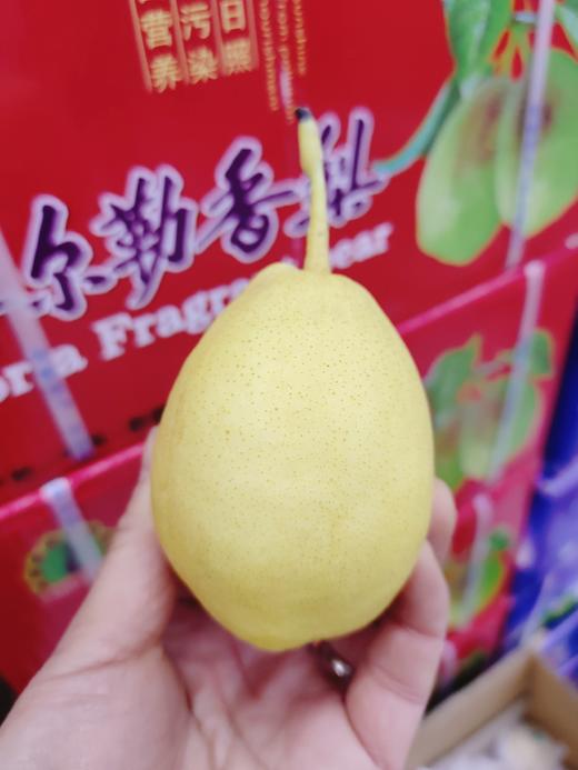 红箱香梨一箱 商品图1