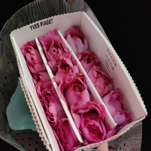 肯尼亚Yves Piaget伊芙伯爵花园玫瑰10支 商品图4