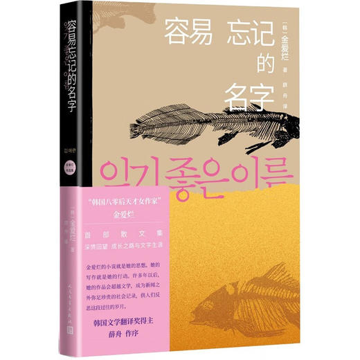 容易忘记的名字  八零后天才女作家金爱烂作品集 商品图0