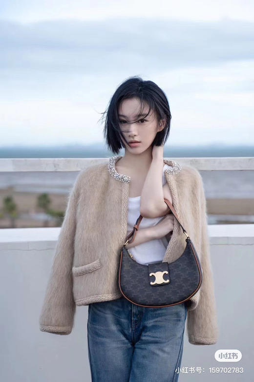 Celine新款腋下包 商品图0