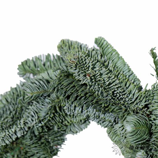 丹麦花材 |  诺贝松圣诞花环（尺寸误差5cm左右; 介意慎拍） 商品图2