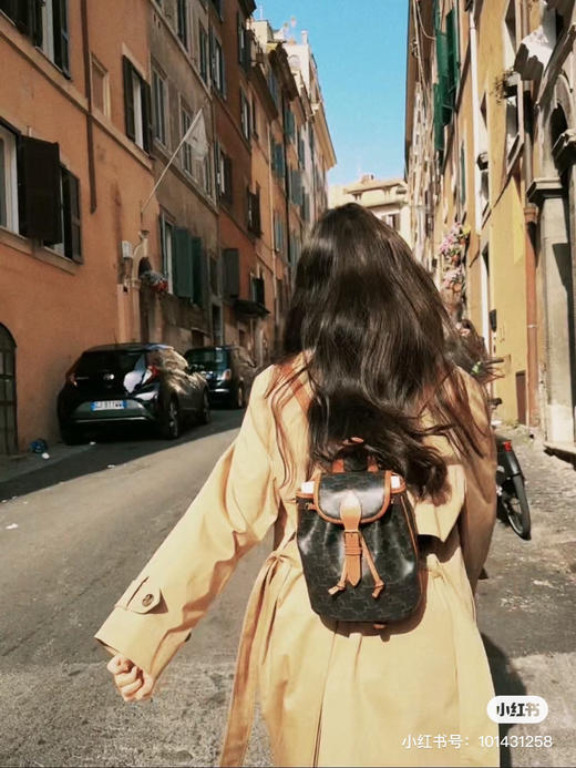 Celine小背包 商品图5