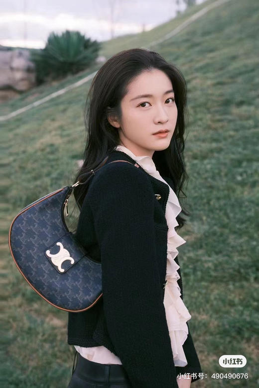 Celine新款腋下包 商品图4