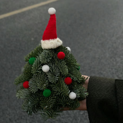 诺贝松丨圣诞节专属丨1-2支 商品图4