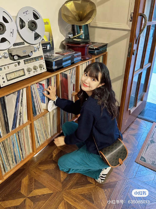 Celine 马鞍包 商品图3