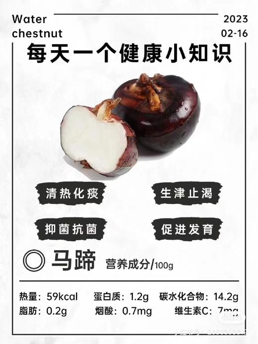 周一取货：【新鲜马蹄】一袋1.5斤左右，一口脆甜爽，解腻又过瘾，润燥生津。 商品图8