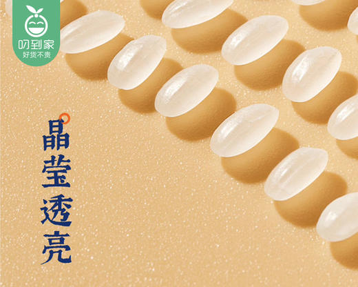 【预售-2月24日配送】【到手2袋】袁蒙牌草原碱地海水稻袁熟香米/1份（2.5kg*2袋） 商品图5