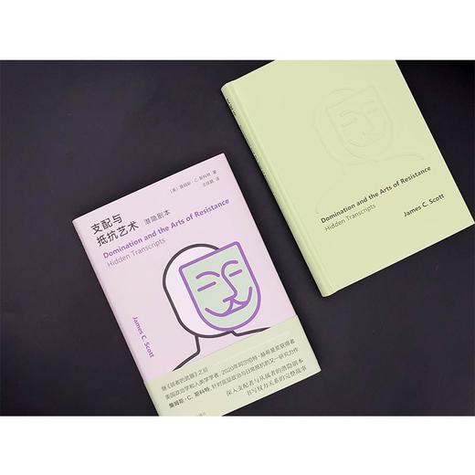 支配与抵抗艺术 商品图2
