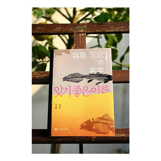 容易忘记的名字  八零后天才女作家金爱烂作品集 商品图4