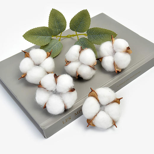 【圣诞饰品】天然棉花干花装饰（10个/袋） 商品图2