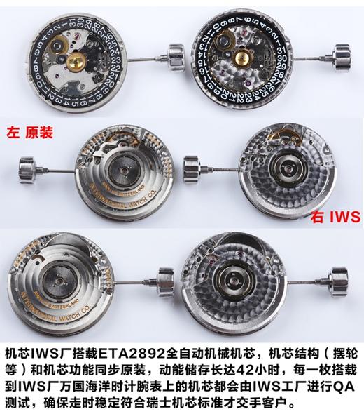 IWS万国海洋时计男款全自动机械复刻手表一比一手表n厂c厂zf厂vs厂clean厂noob厂广州手表测评 商品图1