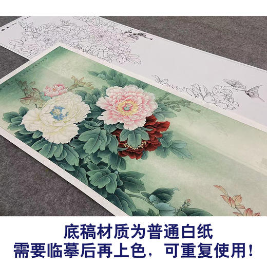 【大彩图】李晓明横幅工笔画白描底稿《总领群芳唯牡丹》牡丹临摹勾线花鸟线稿KA26 商品图3