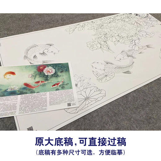 【大彩图】李晓明横幅工笔画白描底稿《富贵有鲤图》牡丹鲤鱼临摹勾线花鸟线稿KA22 商品图1