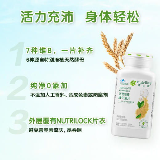 安利纽崔莱®天然B族维生素片300片 7种B族维生素 商品图3