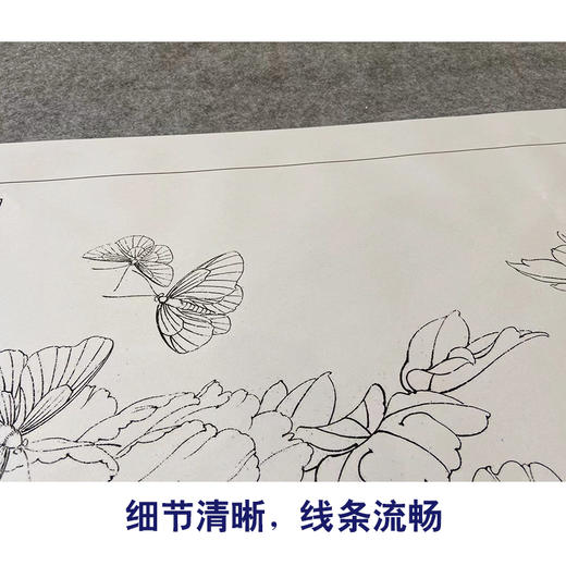 【大彩图】李晓明横幅工笔画白描底稿《名花倾国》牡丹临摹勾线花鸟线稿KA24 商品图4