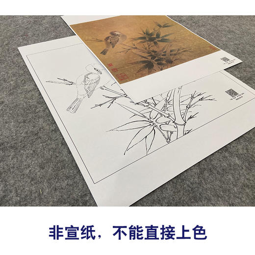 【大彩图】李晓明工笔画白描底稿斗方小品《临宋竹雀图》临摹勾线花鸟线稿K071 商品图2