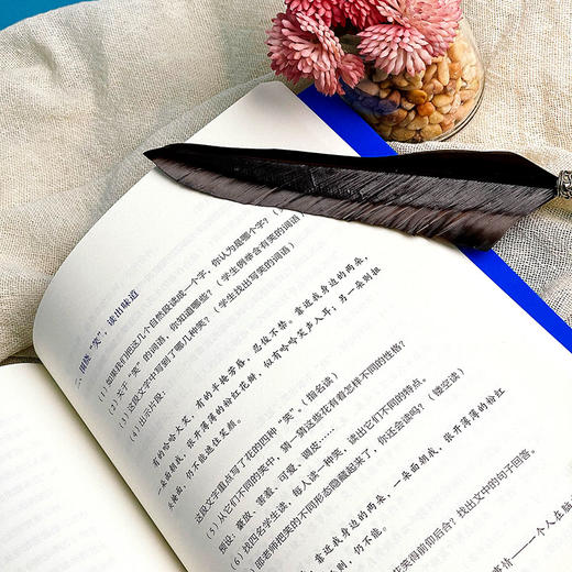 散文的阅读与教学 大夏书系 邵龙霞著 不同文体的教学 商品图11