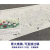 【大彩图】李晓明横幅工笔画白描底稿《富贵凝香图》牡丹临摹勾线花鸟线稿KA21 商品缩略图1