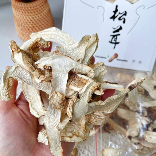 藏地山珍｜雅江松茸干片 纯正干晒松茸制成  精品干货 商品图1