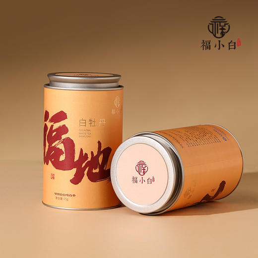 福小白 福地福鼎白茶2022一级白牡丹75g 商品图0