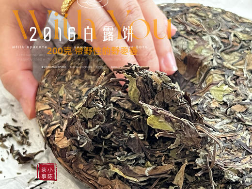 【7年来首发】2016白露饼，太姥山原仓储存，带着野性植物气息的枣香，独树一帜！ 商品图6