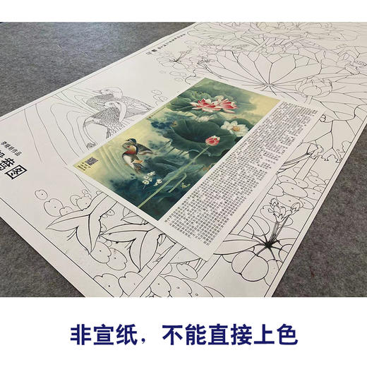 【有步骤、大彩图】李晓明工笔画白描底稿《荷塘鸳鸯图》荷花临摹勾线花鸟线稿KA15 商品图2