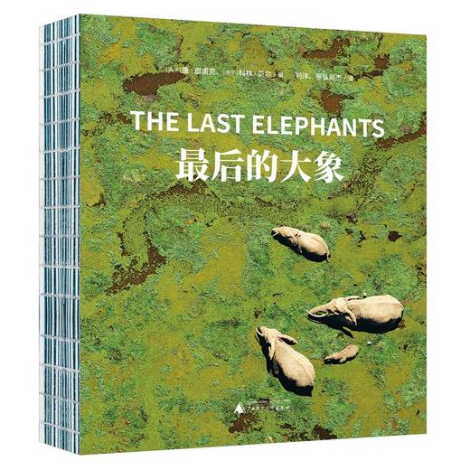 最后的大象 商品图1