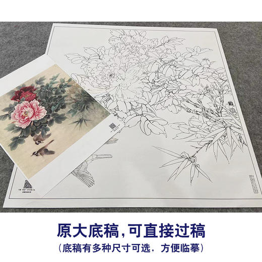 【大彩图】李晓明工笔画白描底稿斗方小品《比翼白头图》牡丹临摹勾线花鸟线稿K043 商品图1