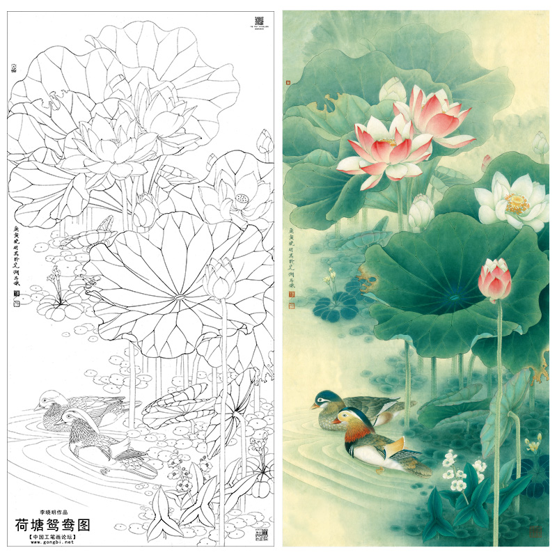 【有步骤、大彩图】李晓明工笔画白描底稿《荷塘鸳鸯图》荷花临摹勾线花鸟线稿KA15