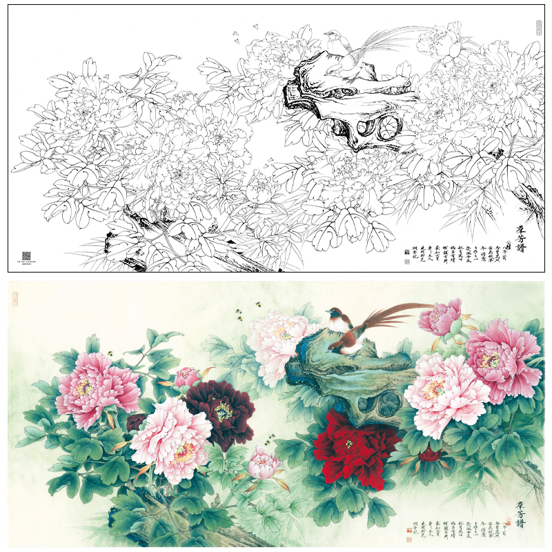 【大彩图】李晓明横幅工笔画白描底稿《群芳谱》牡丹临摹勾线花鸟线稿KA25