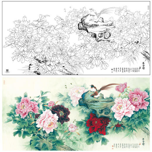 【大彩图】李晓明横幅工笔画白描底稿《群芳谱》牡丹临摹勾线花鸟线稿KA25 商品图0
