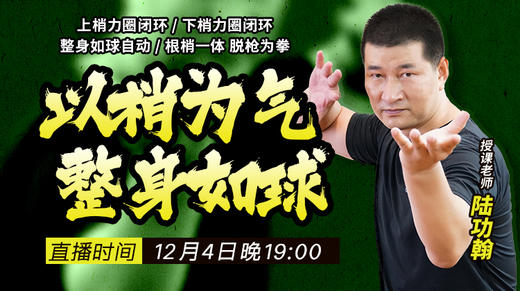 陆功翰传武秘籍第九期——以梢为气，整身如球 商品图0
