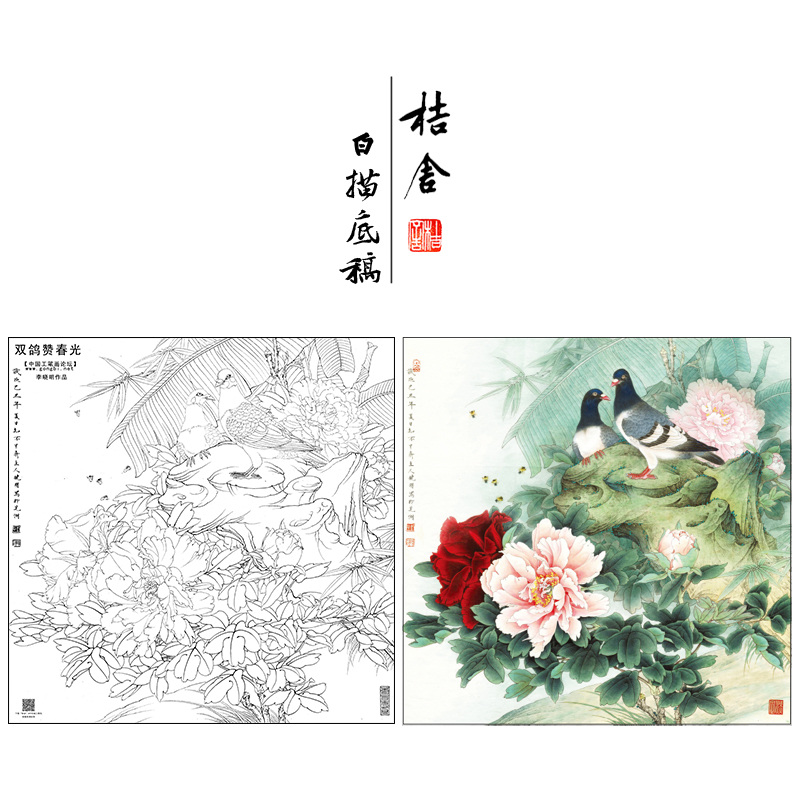【大彩图】李晓明工笔画白描底稿斗方小品《双鸽赞春光》牡丹鸽子临摹勾线花鸟线稿KA08