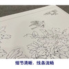 【大彩图】李晓明横幅工笔画白描底稿《春来韶华相思舞》牡丹临摹勾线花鸟线稿KA19 商品缩略图4