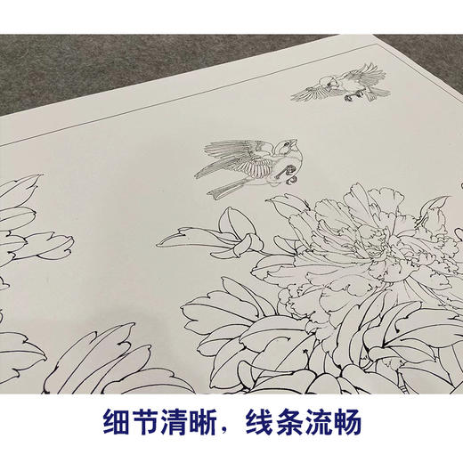 【大彩图】李晓明横幅工笔画白描底稿《春来韶华相思舞》牡丹临摹勾线花鸟线稿KA19 商品图4