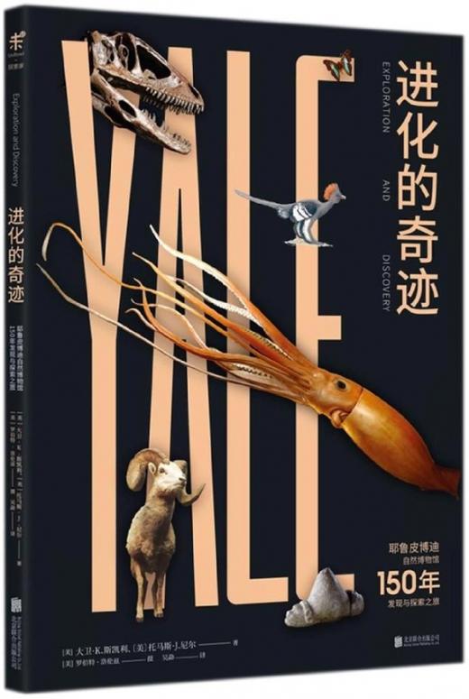 进化的奇迹 商品图0