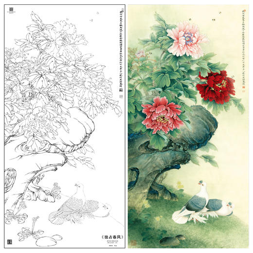 【大彩图】李晓明工笔画白描底稿《独占春风》牡丹鸽子临摹勾线花鸟线稿KA16 商品图0