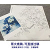 【大彩图】李晓明工笔画白描底稿斗方小品《洛浦初雨》牡丹临摹勾线花鸟线稿K047 商品缩略图1
