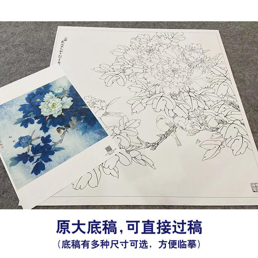 【大彩图】李晓明工笔画白描底稿斗方小品《洛浦初雨》牡丹临摹勾线花鸟线稿K047 商品图1
