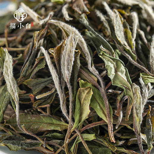 福小白 登顶福鼎白茶2021特级贡眉300g 商品图3