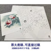 【大彩图】李晓明工笔画白描底稿斗方小品《洛浦春光》牡丹临摹勾线花鸟线稿K042 商品缩略图1